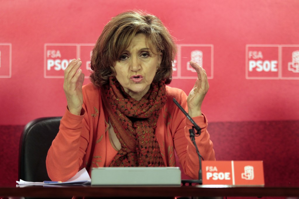 María Luisa Carcedo, diputada socialista. Foto / Mario Rojas.
