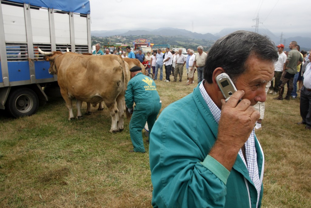 El móvil parece haberse vuelto una prótesis tecnológica imprescindible hasta en el mundo rural. Foto / Mario Rojas.
