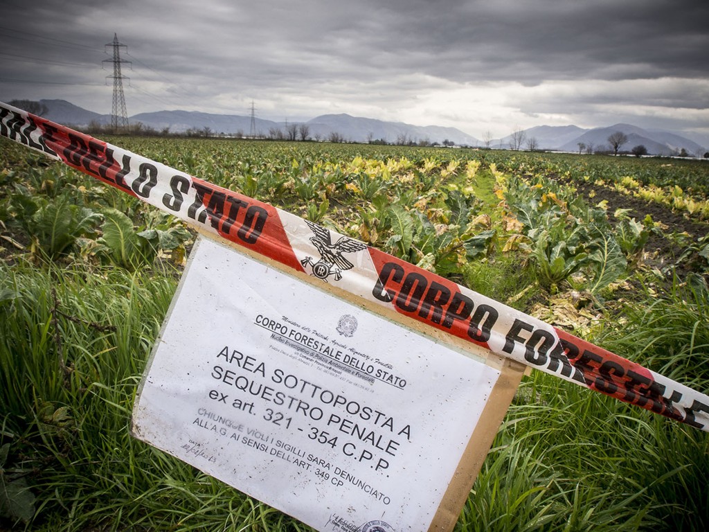 El desastre medioambiental afecta a las provincias de Nápoles y Caserta. Foto / Mauro Pagnano.