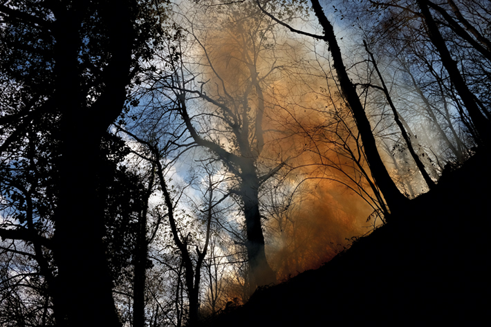 La ola de fuego afectó a la mayoría de los concejos asturianos. Este fue en Morcín. Foto / Javier Bauluz.