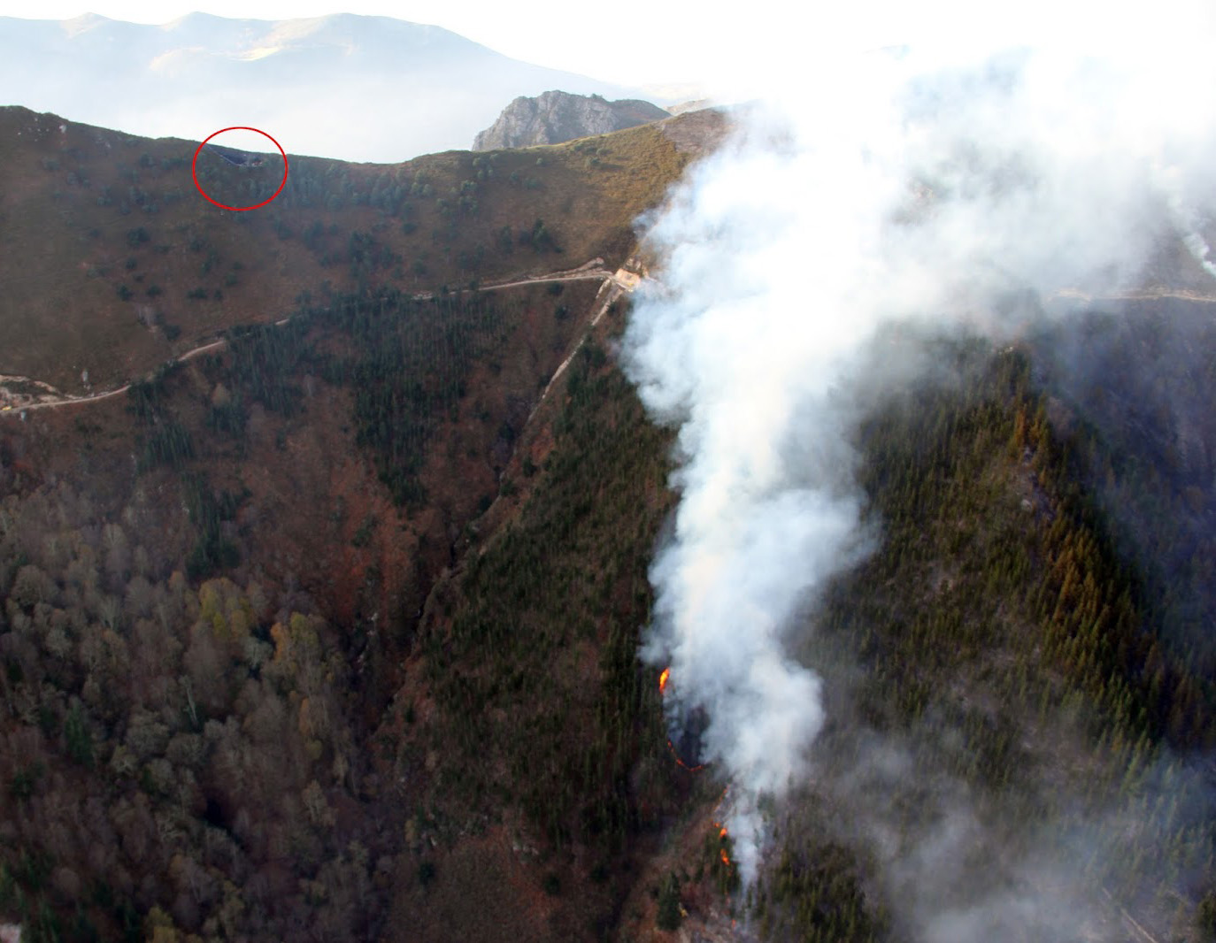 Lugar del accidente en Parres nel que morrió José Antonio Rodríguez. Foto / SEPA Asturias.